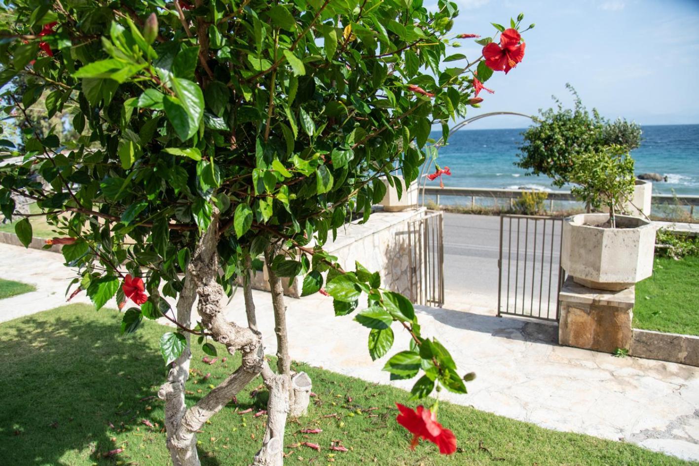 Kaiser Luxury Suites Achilleion Экстерьер фото
